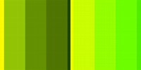Yellow with Green Colour Pallet