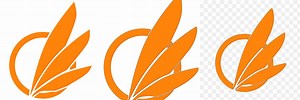 Avali Logo.png