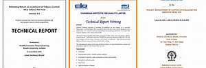Sample of a Technical Report Names
