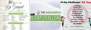 The Wellness Way No Sugar Challenge