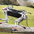 4 Leg Transport Robot