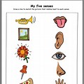 5 Senses for Kindergarten