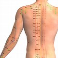 Acupuncture Lower Back Pain
