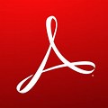 Adobe Reader 11 Icon