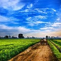 Agriculture Farm Background