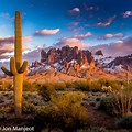 Arizona Winter Desert Landscape