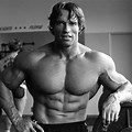 Arnold Schwarzenegger Bodybuilding Training