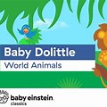 Baby Einstein Vimeo Cat