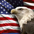 Bald Eagle American Flag Desktop Wallpaper