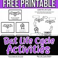 Bat Life Cycle Cut and Paste