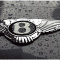 Bentley Car Emblem