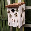 Bird Nest Box Designs Idea Pics