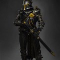 Black and Gold Dragon Knight Armor