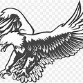 Black and White Steails Bald Eagle
