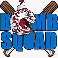 Bomb Squad Baseball Logo