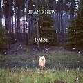 Brand New Daisy Album Cover