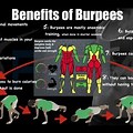 Burpees Benefits for Strong Bones