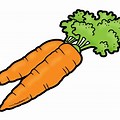 Carrot for Kids