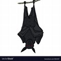 Cartoon Bat Hanging Upside Down Wallpaper