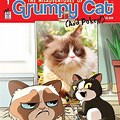 Cartoon Grumpy Cat Book