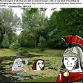 Cassius Dio Meme Swamp