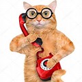 Cat Talking On Phone