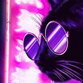 Cat Wallpaper for Laptop Neon