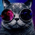 Cat with Galaxy Sunglasses iPhone Wallpaper