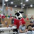 Chick-fil a Drawing Contest