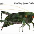 Clip Art the Very Quiet Cricket
