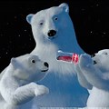 Coke Cola Polar Bear