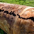 Corroded Gas Pipe