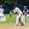 Cricket Activities Children