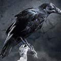 Crow Bird Art Wallpaper