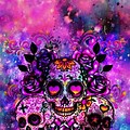 Dark Neon Pink Sugar Skull Wallpaper