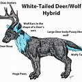 Deer and Wolf Ai Hybrid