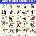 Different Kinds of Martial Arts