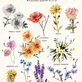 Different Types of Wildflowers