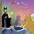 Disney Princess Sleeping Beauty Book