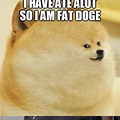 Dog What's Fat Meme