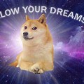 Doge Wallpaper Follow Your Dreams