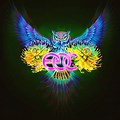EDC Music Festival Logo Image