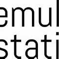 Emulation Station Logo