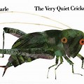 Eric Carle Quiet Cricket