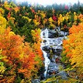 Fall Foliage Scenery