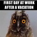 First Day Back at Work Meme