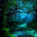 Forest Mystical Blue Aesthetic