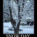 Funny Snow Quotes and Sayings