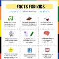Give 4 Examples of Facts Printable