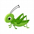 Grasshopper Cartoon Clear Background